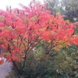 org:/landingpages/winnaars DK NO SE/6e-prize scandinavie.jpg